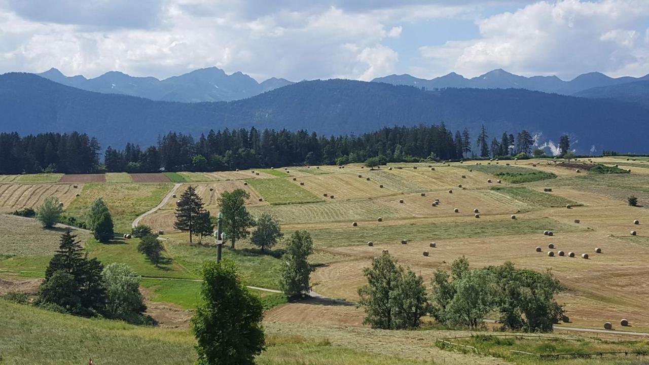 مبيت وإفطار كافارينو Piccolo Orso Bruno المظهر الخارجي الصورة